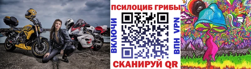 Купить закладки  Буй  Псилоцибиновые грибы мухоморы 